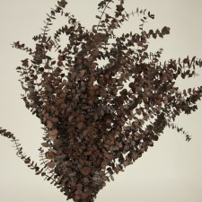 36" MINI EUCALYPTUS BROWN