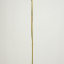 BAMBOO POLE 1/2" X 4'