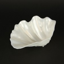 CLAM SHELL 9" PLASTIC