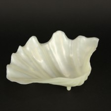 CLAM SHELL 12"