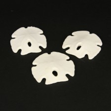 SAND DOLLAR ARROWHEAD PKG/3