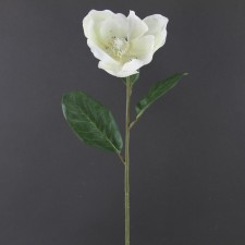 30" MAGNOLIA A4