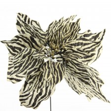 10"ZEBRA POINSETTIA PICK A4
