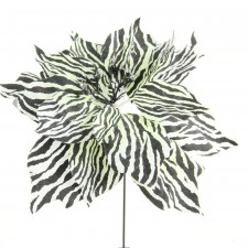10"ZEBRA POINSETTIA PICK A4