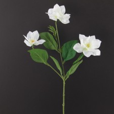 24.5"MAT.SATIN CLEMATIS SPRY