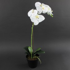 21"ORCHID FLWR SPRY POTTD A25