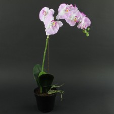 21"ORCHID FLOWER SPRAY POTTED