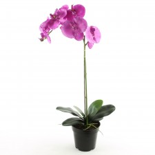 21"ORCHID FLOWER SPRAY POTTED