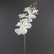 43"ORCHID FLOWER SPRY A4