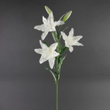 31"TIGER LILY X3 W/DIAMOND A6