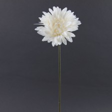 SINGLE GERBERA W/PEARL A4