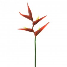 29.5" HELICONIA SPRAY RED