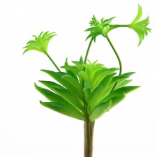 SUCCULENT STEM X3