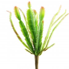 CACTUS SINGLE STEM