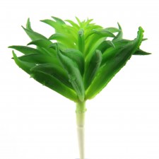 4.2" SUCCULENT GREEN