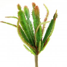 10" SUCCULENT GREEN