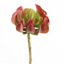 6.5"SUCCULENT MAUVE/GRN