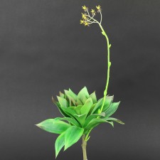 20"SUCCULENT GRN/BURG A4