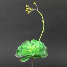 16"SUCCULENT GREEN A4