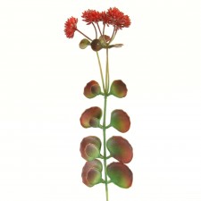 14.25" SUCCULENT