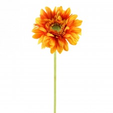 18.5"SINGLE GERBERA ORNG A4