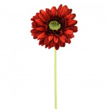 18.5"SINGLE GERBERA RED A4