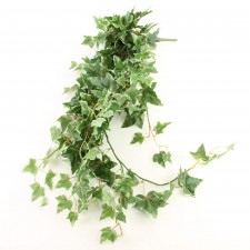 45"HOLLAND IVY HANG.BUSH X9