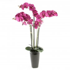29.5"POTTED ORCHID PURPLE