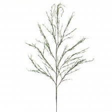 26"MYRTLE SPRAY X9 A5 B5