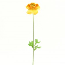 20"RANUNCULUS SPRAY X1 B5