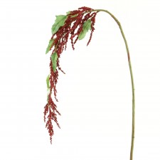 AMARANTHUS SPRAY 48" BURG.