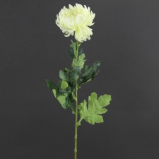 29"SINGLE FUJI MUM BUD W/12LV