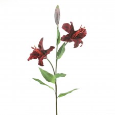 33"ENCHANTED LILY A5