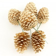 5" PINECONE PICK 6PC/BG