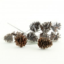 2.5"PINECONE PICK 100PC/BX