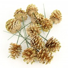 2.5" PINECONE PICK 12PC/BG