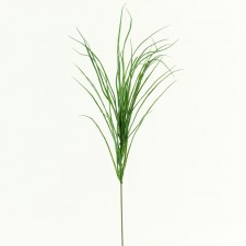 28" SWAMP GRASS GREEN A25