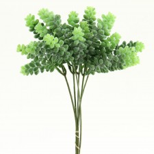 10.75" SEDUM PICK 6PC/BG
