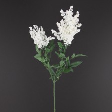 31" ASTIBLE SPRAY WHITE