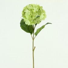 SINGLE HYDRANGEA SPRAY GREEN
