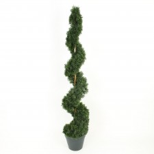 4' CEDAR SPIRAL W/POT