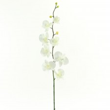 30"T ORCHID SPRAY SNOW WHITE