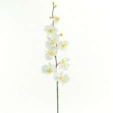 30"T ORCHID SPRAY YELLOW WHT