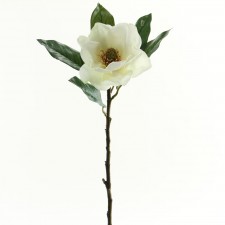29" SM.SINGLE AMER.MAGNOLIA