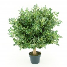 26" MINI BOXWOOD BALL POTTED