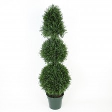 4'POND CYPRESS TOPIARY PL.POT