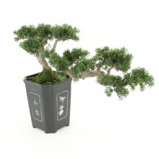 18"CEDAR BONSAI SQ.BK.PLAS.POT