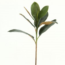 MAGNOLIA LEAF SPRAY W/8LVS