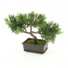 9"TEA LEAF BONSAI W/RECT POT