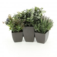 10"MIXED BUSH X136 POT